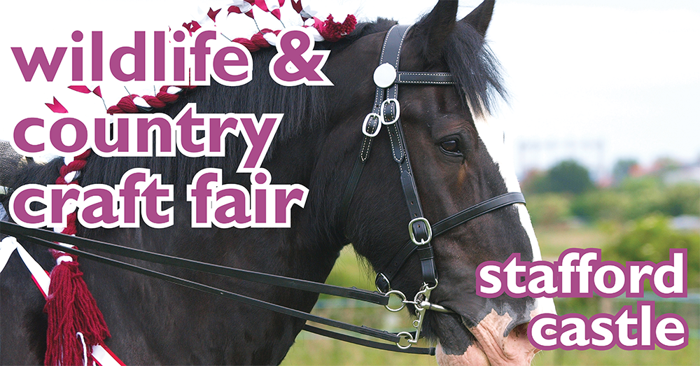 Nice new graphics for the Wildlife Fair @ #StaffordCastle Thank you Mr T.
So Shire horse display, birds of prey, dog display, dog show, ferrets, farm animals; bats; and don't forget our lovely insect friends.
Sunday 13 May 11am - 5pm
Free admission - donations welcome
Car park £3