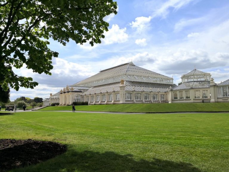 pumpkin_beth's tweet photo. Read my interview with Scott Taylor, the Supervisor of the #TemperateHouse at #KewGardens and find out all about this magnificent #restoration project!
#TemperatePlants #PlantConservation #Plants #Glasshouse #ThingsToDoInSurrey #WeekendPlans #SurreyGardens
https://t.co/WNwPCnjGE1 https://t.co/z5rDeLCjlq