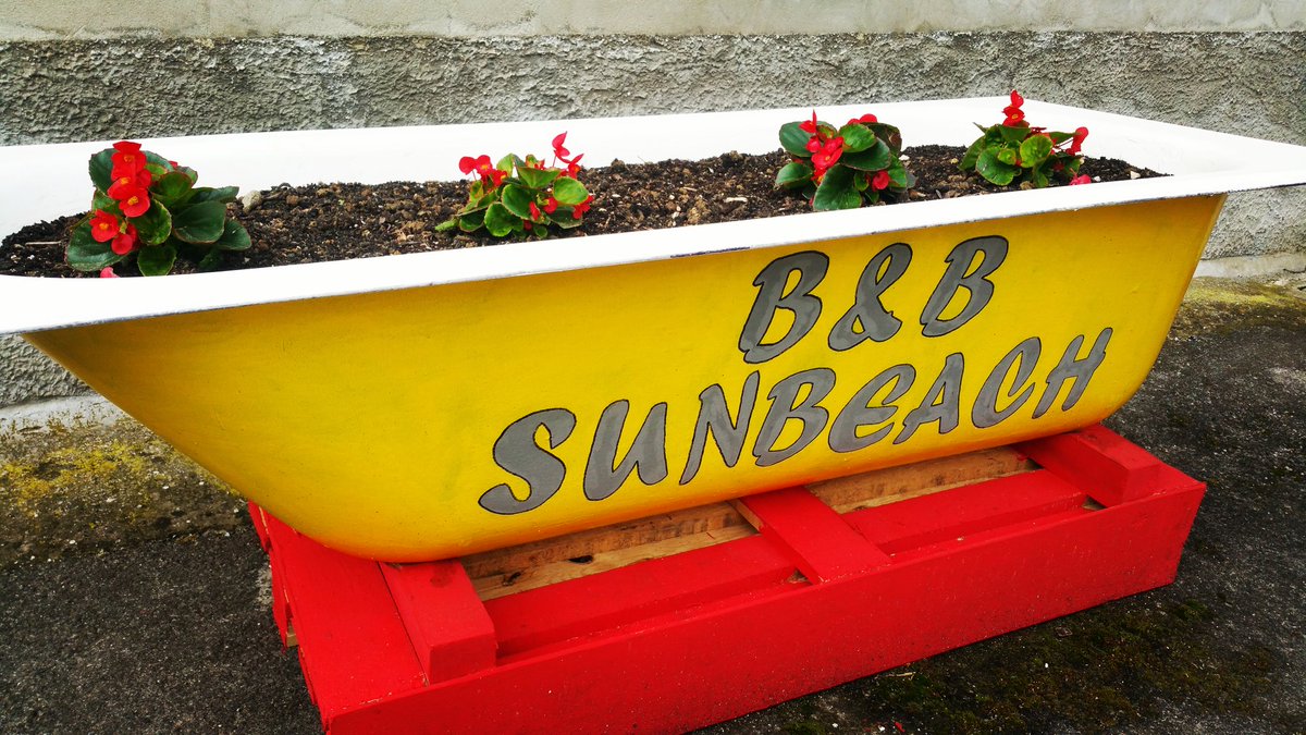 BB_SunBeach's tweet photo. La nostra vecchia vasca trasformata in una fioriera! 😃😃😃
#bedandbreakfast #bbsunbeach #photooftheday #fotodelgiorno #estate2017 #quasipronti https://t.co/RfvxSFKL8H