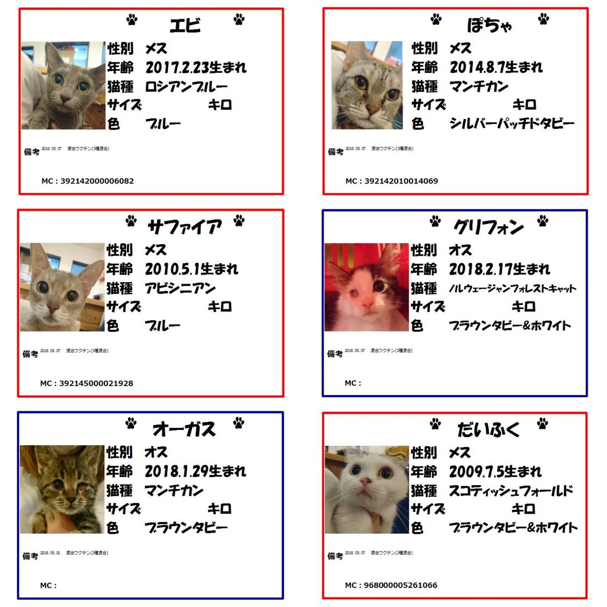 保護猫カフェ鶴橋店 元保護猫カフェマンチカン 本日保護の子たち プロフィールができあがりました F 何頭かは他店舗に移動する可能性もございます 面会を希望される方は 予めお電話にて在舎確認をお願い致します 06 4307 4715 保護猫 保護猫カフェ鶴橋店 元保護猫カフェマンチカン 本日保護の子たち プロフィールができあがりました F 何頭かは他店舗に移動する可能性もございます 面会を希望される方は 予めお電話にて在舎確認をお願い致します 06 4307 4715 保護猫