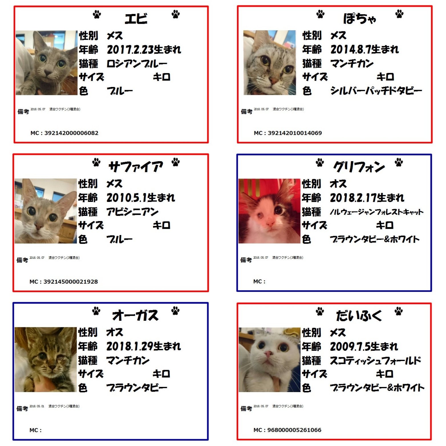 保護猫カフェ鶴橋店 ２階 元保護猫カフェマンチカン 本日保護の子たち プロフィールができあがりました F 何頭かは他店舗に移動する可能性もございます 面会を希望される方は 予めお電話にて在舎確認をお願い致します 06 4307 4715