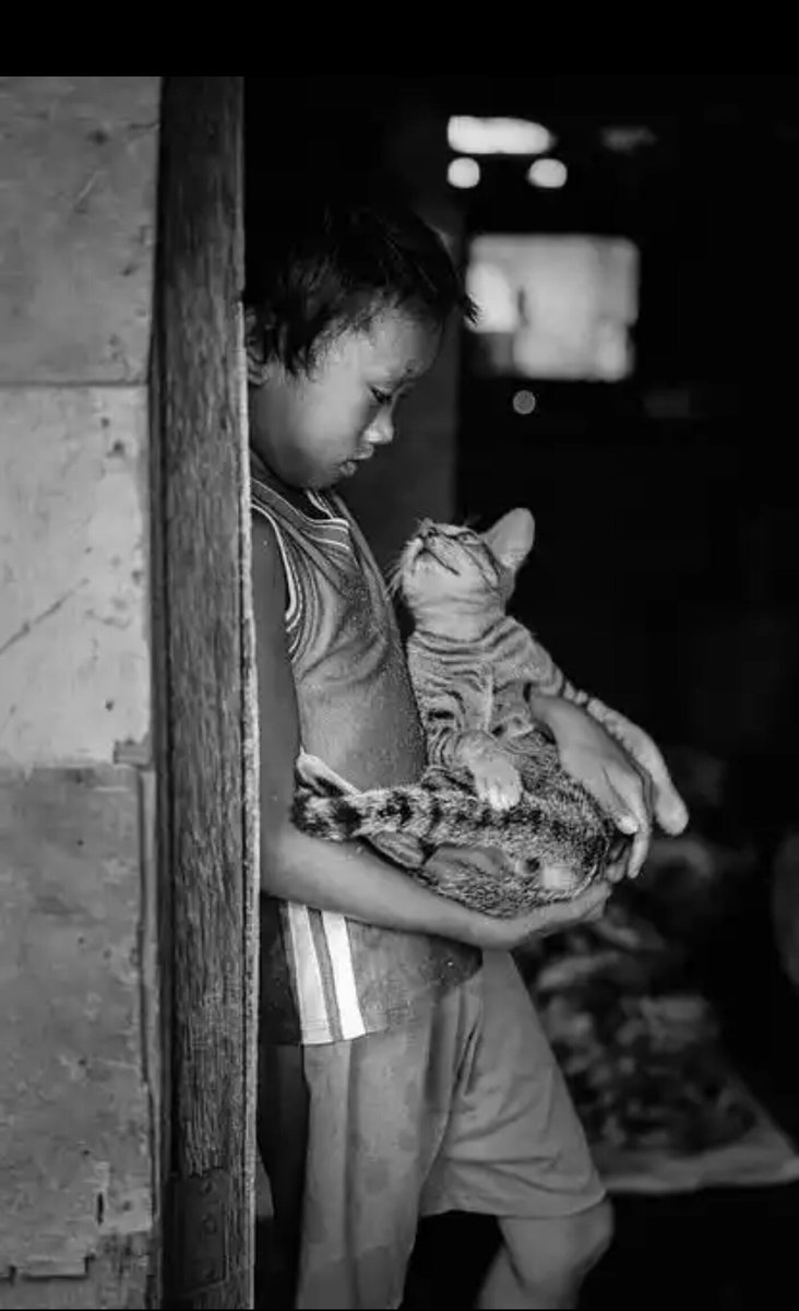 Ne kadar da çok kırdık birbirimizi.
Çocukları üzdük.
Kelebekleri yorduk.
Çiçekler ağladı her yağmurda.
Kuşlar üşüdü her soğukta.
Madem bu hayat bu kadar kısa,
Değer miydi tüm bunlara...

ADEM ÖZBAY