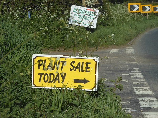 YarlingtonHouse's tweet photo. Our Plant Fair is taking place this Saturday the 12th May.
From 10am - 4pm and its only £3 per entry.
Dogs are also welcome (kept on a lead).
We have over 30 specialist nurseries and plant related stands.
@Giles_Adams @somersetwhatson #plantsale #somersetevents https://t.co/KN5Dglyfa3