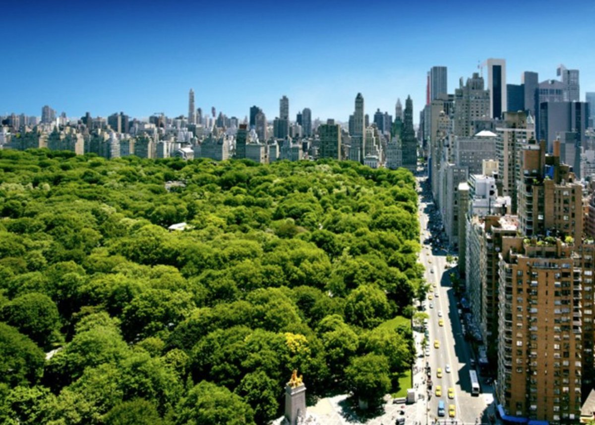 FollowTabikaeru's tweet photo. New York is a modern city and people in the Manhattan are walking fast. But to my surprise, opposite the tall buildings, there is a huge central park. The relaxed atmosphere here makes me feel comfortable.#tripUSA #NewYork #FollowTbaikaeru https://t.co/lCg3Wcemb4