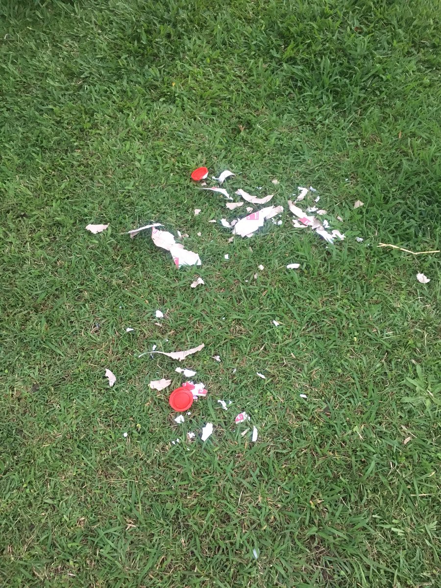 GraceCallan's tweet photo. Thanks @australiapost for leaving my parcel in a “safe place” place by chucking it over a fence into a yard with a dog and not leaving it in the letterbox (it fit BTW, I checked). Not happy 😡😭 #nothappyjan #badservice https://t.co/3OpdduYVwr