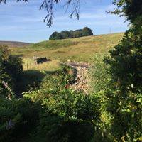 Shap Wells Hotel tweet media