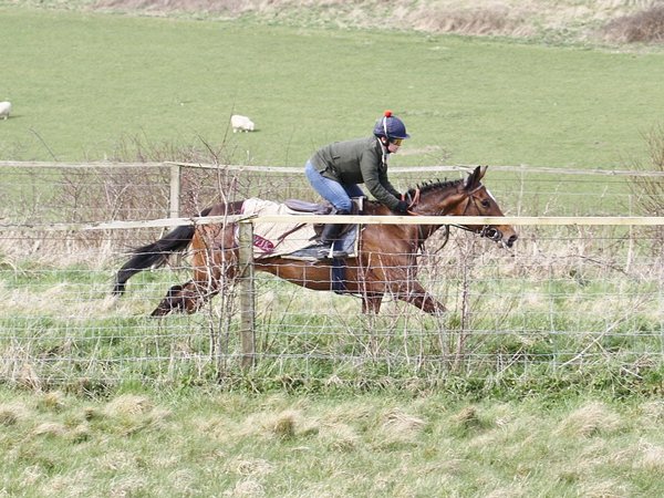 biddestonestud's tweet photo. Another Gr.1 winner for Champs Elysees with Billesdon Brook in Sunday's 1,000 Guineas, the last few shares are available in our soon-to-run and well-bred filly by this sire named Queen Of Paris trained by @WKnightRacing - drop by https://t.co/FqcNlGKsWL for more information. https://t.co/85JYVyzbiu