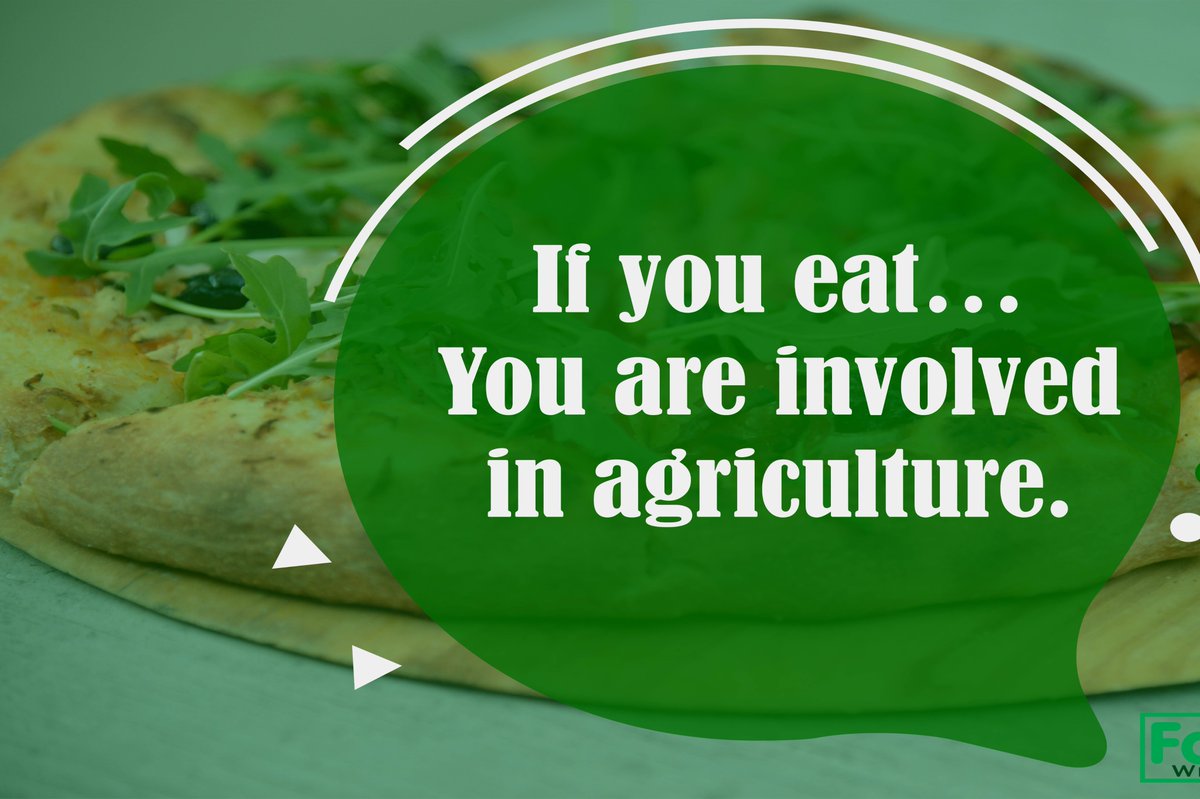 farmgloafrica's tweet photo. We all involved in agriculture, we need to support small scale farmers.
#proudfarmer #organicfarming #agriculture #agribiz #agriprenuer #healthylifestyle #healthyfood #food #foodsecurity #AgribusinessTalk254 #climatechange #AGRwinter2018 #AgTech #CAConference2018 https://t.co/knJhMORY9x