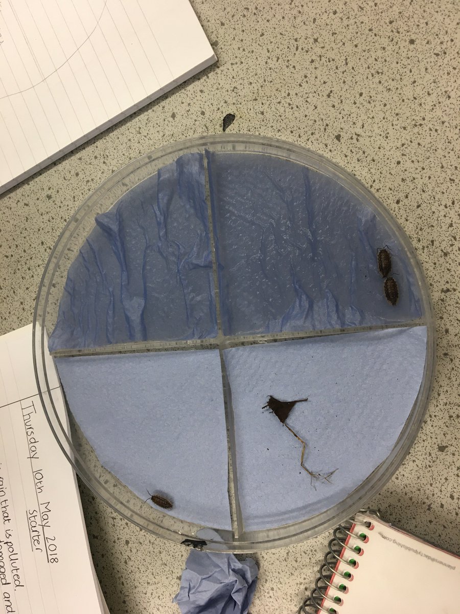 NineScience's tweet photo. Always remember to treat any live animals you are using in your practicals with care and respect. #Ninestiles @Ninestiles #WeCanScience https://t.co/YonRtMOUMl
