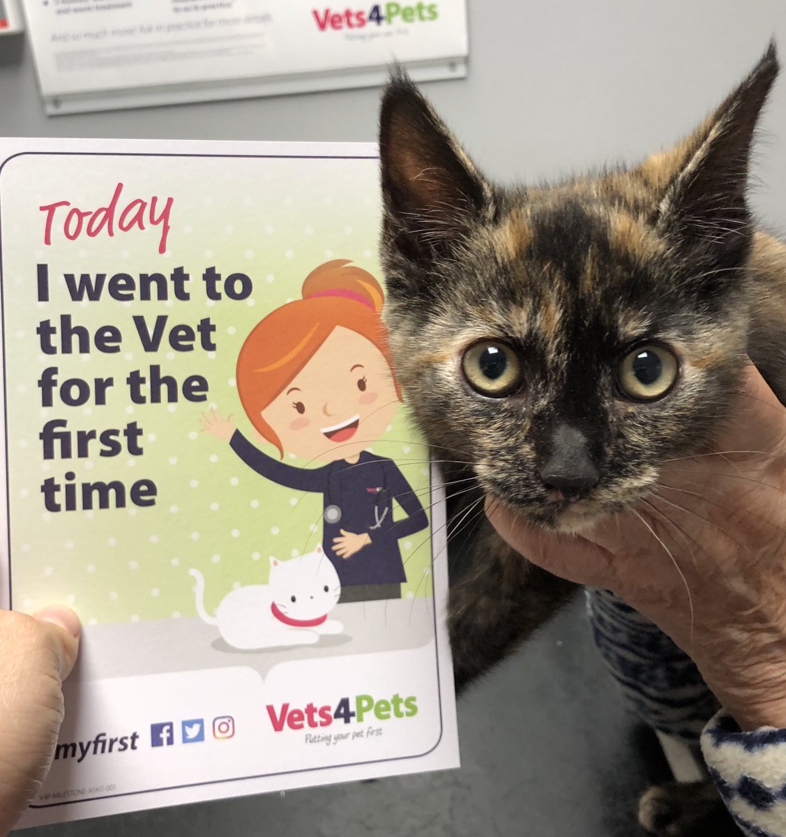 vets4pets vaccination offers 2018