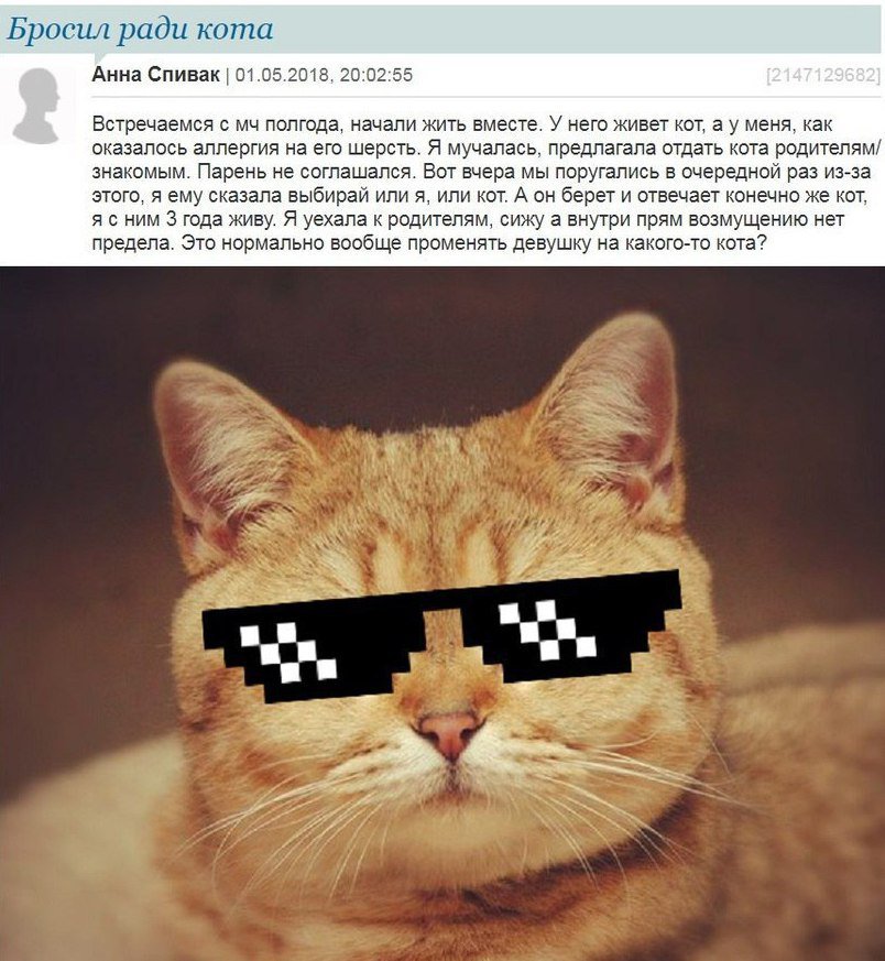 Тян не нужны (@nenuzhenki) on Twitter photo 
