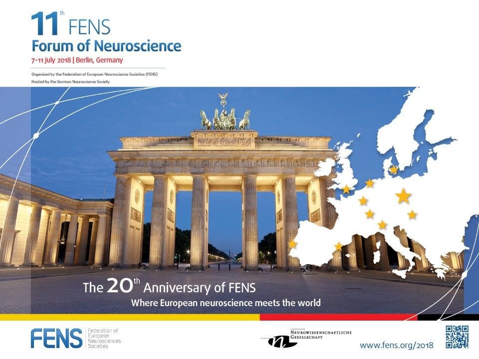 BritishNeuro's tweet photo. Still time to register for #FENS2018 in Berlin 👩🔬👨🔬 Become a BNA member and save on registration costs! See https://t.co/WhVu2AfNsq @FENSorg https://t.co/f44Ort9sSL