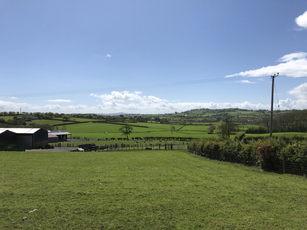 There are worse ways to spend a day!! I’m with sheep farmers from the farming group in Northern Ireland today 🐑 ☀️ ^Will