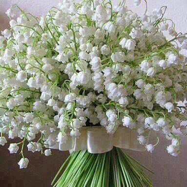 <a href="/mirti33/">✿✬✿</a> <a href="/mariadelros26/">María Del Rosario 🇲🇽</a> <a href="/u_mirella/">Mirella 🇨🇱Vásquez Ullo</a> <a href="/LaTanna74/">La Tanna</a> <a href="/LinazaMarta/">marta linaza</a> <a href="/NoreBelleza/">Norebella 🌹</a> <a href="/FLAVIOUS4/">FLA,1 TAXISTA SUELTO EN BAHIA</a> <a href="/44b286accb6945d/">Davadas</a> Hola mi reina ...claro que no Feliz de saludarte espero estés bien beeitos  ...!!!