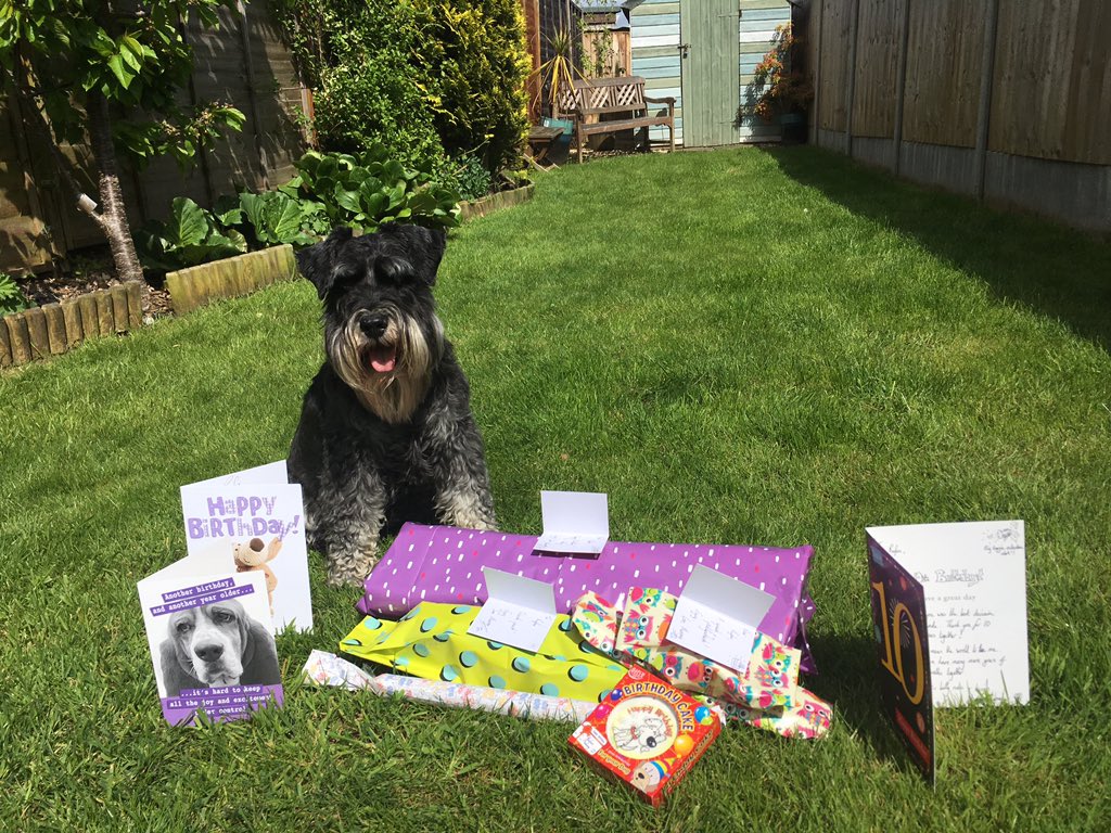 LizRalls's tweet photo. My best buddy Rufus is 10 today! We had a lovely walk this morning, followed by lots of treats! Happy Birthday Rufus! x https://t.co/aOIm1uwQUz