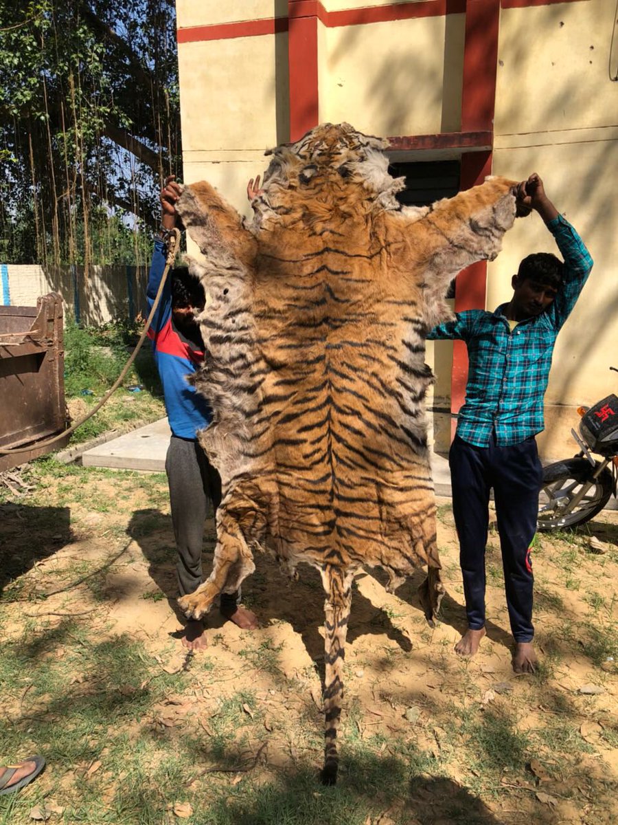 UP POLICE tweet media