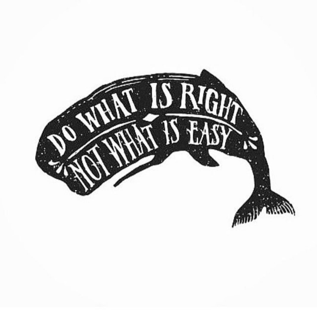 👉 SUPPORT #OURGOODBRANDS! #EcoFriendly #ethicalhour
 <a href="/OrganiCup/">OrganiCup</a>  <a href="/WhoGivesACrapTP/">Who Gives A Crap</a>  @thinklovelivegc   @ecoalf@greensheepwater <a href="/derivasailmaker/">deriva</a> @AndAgainCO @saathipads <a href="/ecosia/">Ecosia</a> <a href="/ecocompanion/">Eco Companion</a> @webleedforyou <a href="/goldisaneutral/">Gold is a Neutral</a> <a href="/arturedesign/">Arture</a> @kantalabrands <a href="/LostShapes/">Lost Shapes</a> @juliegrant21