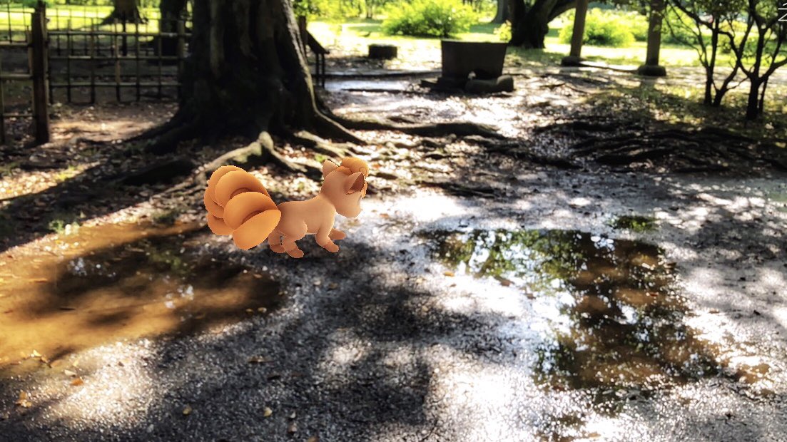 48clover's tweet photo. 雨のち晴れ☀️
水たまりで遊ぶロコン
#PokemonGOARPlus 
#リワードポケモン 
#浜離宮 https://t.co/aWJ0DasuhU