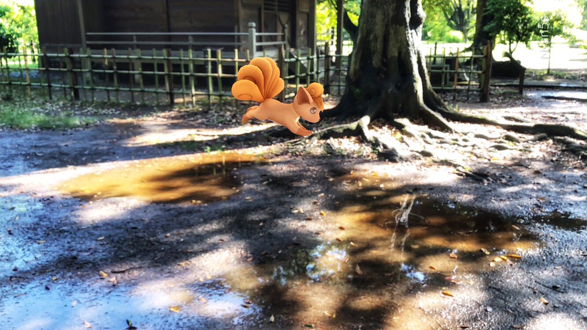 48clover's tweet photo. 雨のち晴れ☀️
水たまりで遊ぶロコン
#PokemonGOARPlus 
#リワードポケモン 
#浜離宮 https://t.co/aWJ0DasuhU