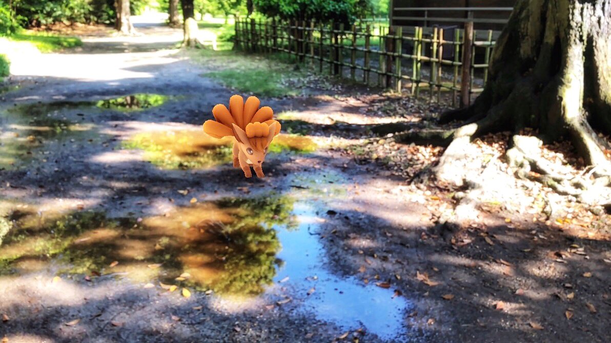 48clover's tweet photo. 雨のち晴れ☀️
水たまりで遊ぶロコン
#PokemonGOARPlus 
#リワードポケモン 
#浜離宮 https://t.co/aWJ0DasuhU