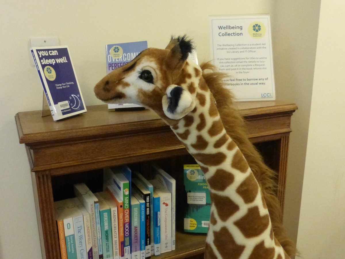 LucyCavLib's tweet photo. Our new #wellbeing collection has already gathered some interest #Es_says #YLLY https://t.co/uh9um5yqXS