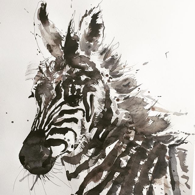 WildBerryJam's tweet photo. Baby 🦓 https://t.co/ha3aMvgsNt https://t.co/WxcucUupON