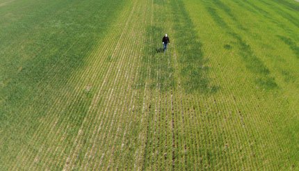 Agri_Tech_2018's tweet photo. The different shades of green show differences in #soil #quality #moisture and #nutrients that affect the #crop #Growth
How #farm practices can be more #effective?
Ps. https://t.co/pJMGP9a09C  
#Agriculture #agricultural #Food #biodiversity #Conferences #meetings https://t.co/wPikeWA1ph