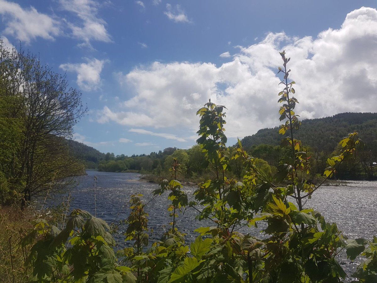 Helping another new DenPro member set up their account today in beautiful Dunkeld.
@THE_DD_UK @nhsscotproc