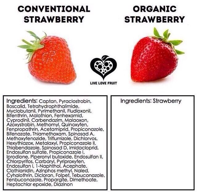it's Strawberries time .. I know my choice. What is yours?
#organicstrawberry #organicfruit #organiclife
