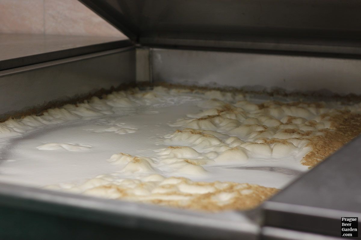 PrahaBeerGarden's tweet photo. BREWING with yeast: An Incomplete History ------ Tiny little creatures doing GREAT things https://t.co/xhAFxY3UDL #brewing #yeast #brewcrew #lambic #spontaneouslyfermented #beer https://t.co/nftxr66QFk