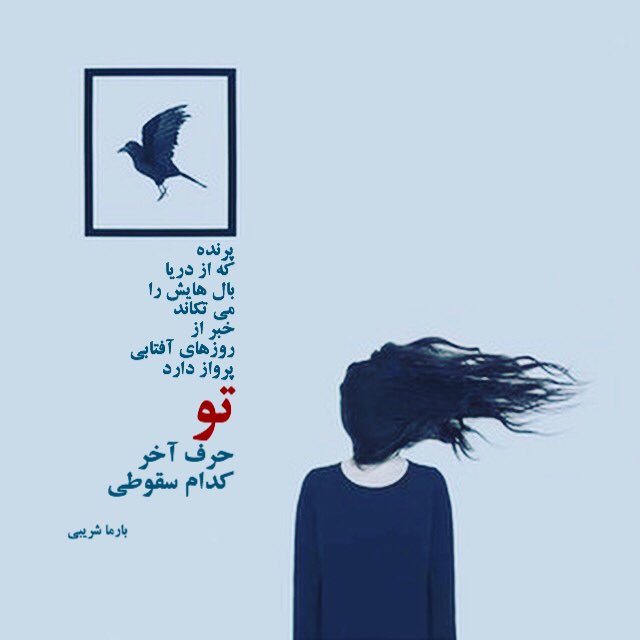 barmashoreibi1's tweet photo. پرنده 
که از دریا 
بال هایش را 
می تکاند 
خبر از 
روزهای آفتابی
پرواز دارد 

تو
حرف آخر 
کدام سقوطی

#بارما_شریبی

#شعر_سپید#قلب_تو_کانون_جنگ_های_داخلی_ست https://t.co/JUHRHPazM1