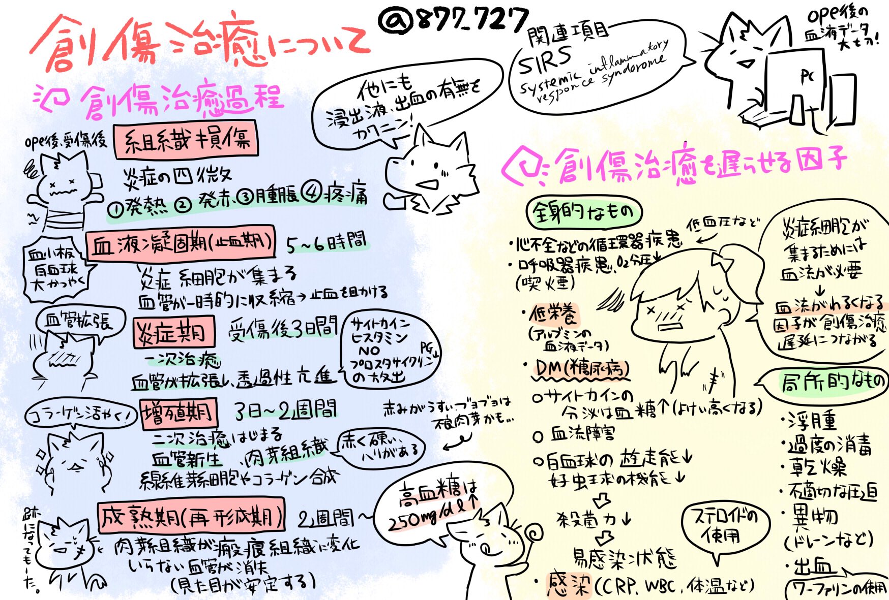 看護師のかげさん イラスト看護帖書籍化 創傷治癒について 周手術期 全身性炎症反応症候群 Sirs 侵襲に対して免疫細胞が大量にサイトカインを放出したことによって起こる急性の炎症反応 感染症とsirsが合わさったのが敗血症という病態 T