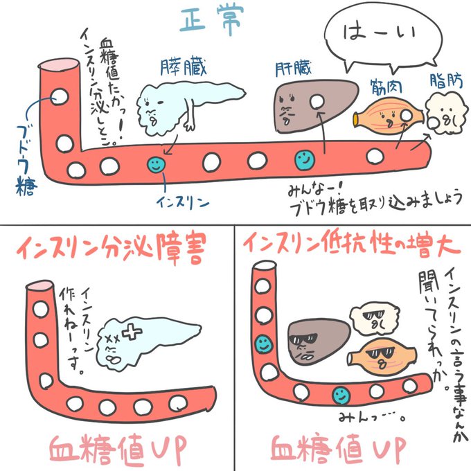 ゴロ 解剖生理イラストさん の最近のツイート 12 Whotwi グラフィカルtwitter分析