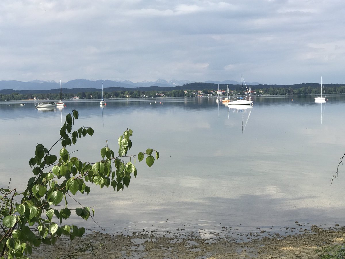 jensandmie's tweet photo. Immer wieder schön
um den See zu radeln ☀️
#StarnbergerSee #82km https://t.co/0VgdQcJdZb