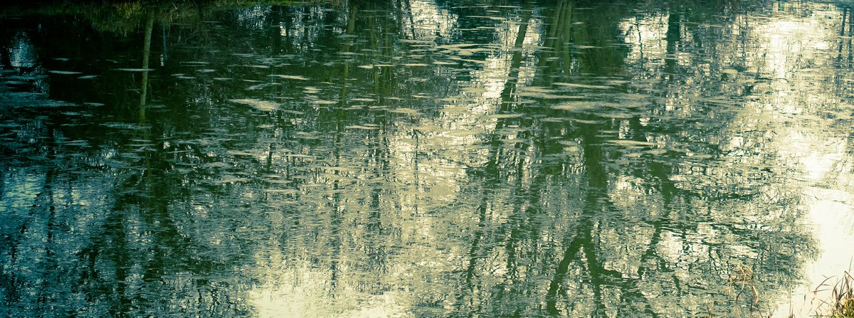 Palmour's tweet photo. Photograph of the Week. This is The Pool at Bishop Wood, another one from the Doncaster Badlands / Elmet project. Find out more about the shot  at https://t.co/9PQhdPD0FA https://t.co/YbjM1r8YPE
