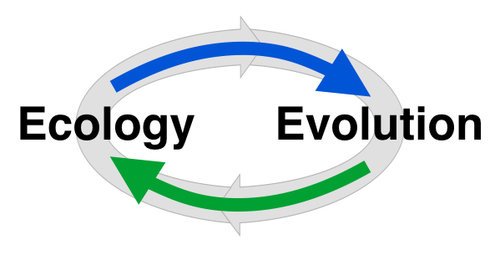 Agri_Tech_2018's tweet photo. How #Interactions between #ecology and #Evolution are Connected?
More Discussions at, https://t.co/pJMGP9a09C 
#Agriculture #Conferences #FoodScience #FoodMeetings #FoodWorld #Soil #Organic #Plant #Agritech2018 https://t.co/oWKgc46S1a
