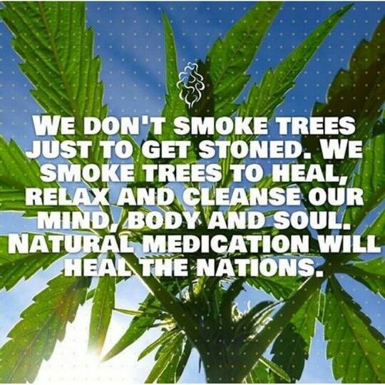 Raymosaki's tweet photo. @Kunzitoons @TheLoudBank @dankcreative @DublinHempCo @NorCalStoner420 @ArmyOfPotheads @3PeopleLikeThis @cannaworldsite @DJWarrenYoung @CannaRights Have a great day my friend enjoy the sun #IAmCannibis https://t.co/EQizZjI779