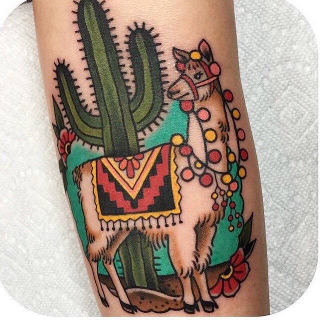 Whichiscooler App tweet media