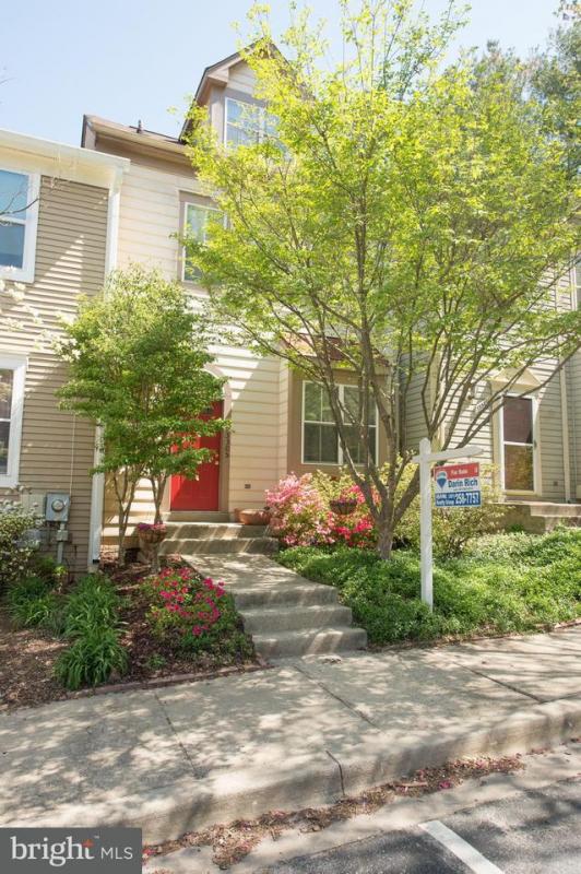 Darin Rich (@darin_rich) | Twitter