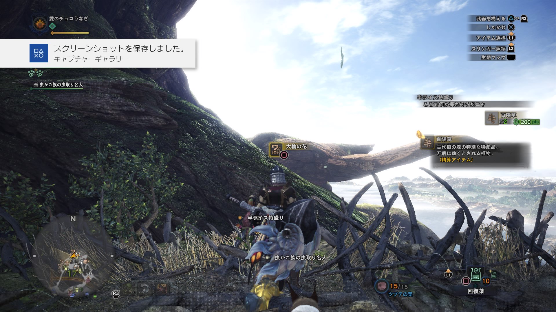 百陽草 Twitter Search Twitter