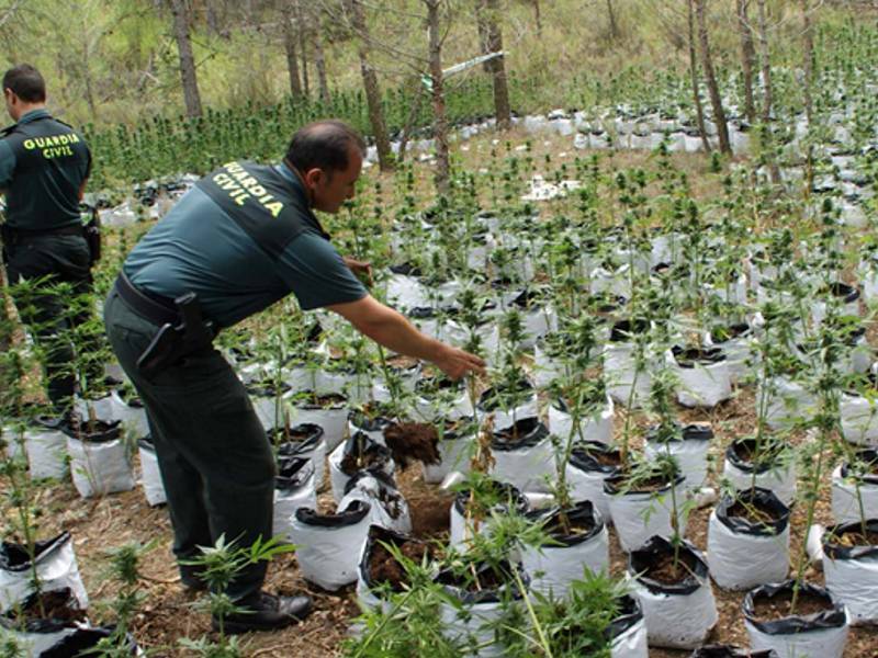 Una unidad del #Seprona controlando el crecimiento de plantas mágicas que crecen en nuestro parque.
#AguasTorcidas #SeDR