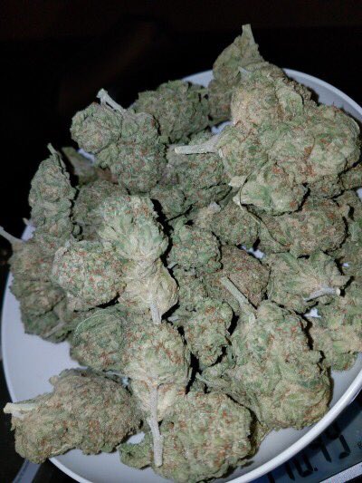 kushhunter111's tweet photo. New stuff all stocked up #weedstocks #weedtube #Marijuanastocks https://t.co/GfswSuaeWr