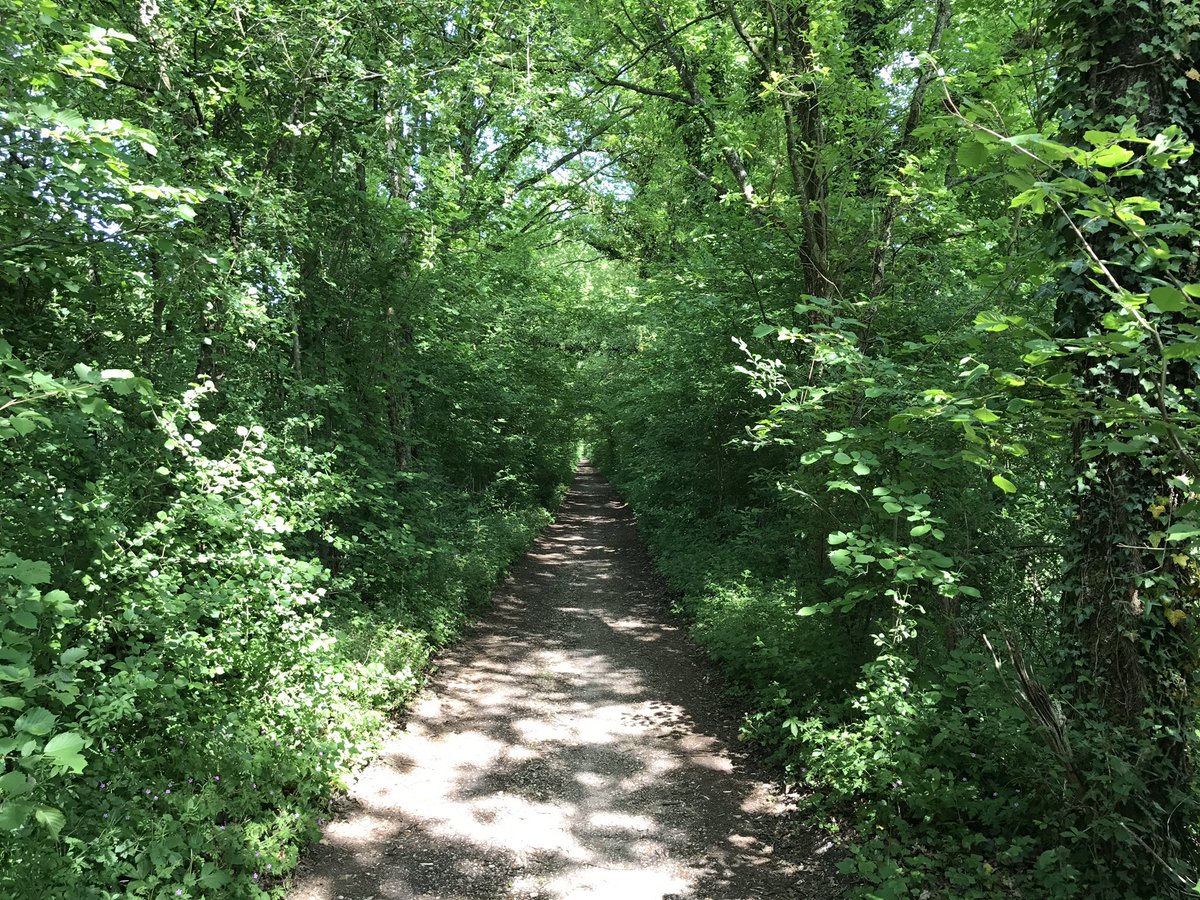 Étape 2 du GR111 : 32,1 km / 5h45 (dont 7 km supplémentaires pour quitter le sentier et rejoindre la gare la plus proche... 😑)

De Dourdan à Saint-Martin-d'Étampes