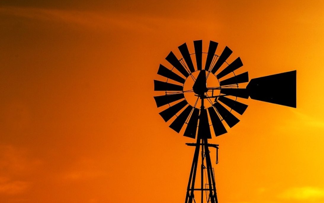 Long haul live sheep export is inhumane and must come to an end. I will be seconding the <a href="/sussanley/">Sussan Ley</a> Private Member’s Bill. Please RT and see my full statement at sarahhenderson.com.au/2018/05/10/lon… #auspol