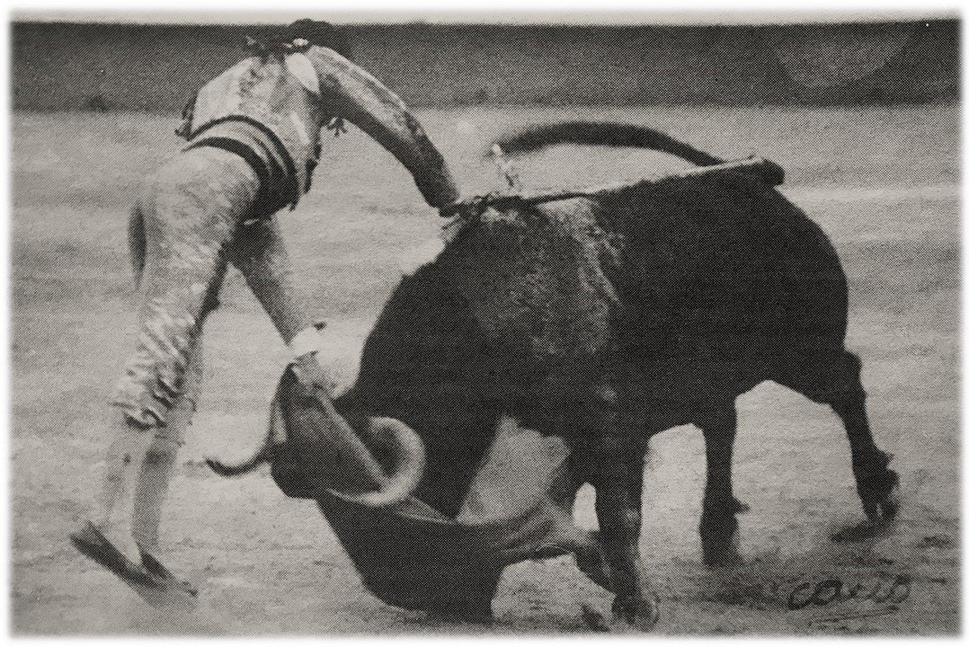 Maxi_Perez_'s tweet photo. A este toro de "La Quinta" Paco Ojeda le cortó las dos orejas en San Isidro de 1983, consiguiendo su segunda salida consecutiva por la Puerta Grande. Alternó con Esplá y Muñoz y el encierro titular fue de Hernández Pla. #ElEsporton #Maxipedia https://t.co/5m7AFImBZD