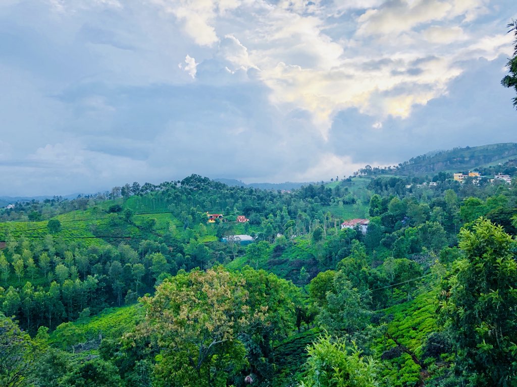 anandgr9's tweet photo. View from the room. #nilgris #coonoor #vacation #needthatbreak https://t.co/35MaK5EVUz