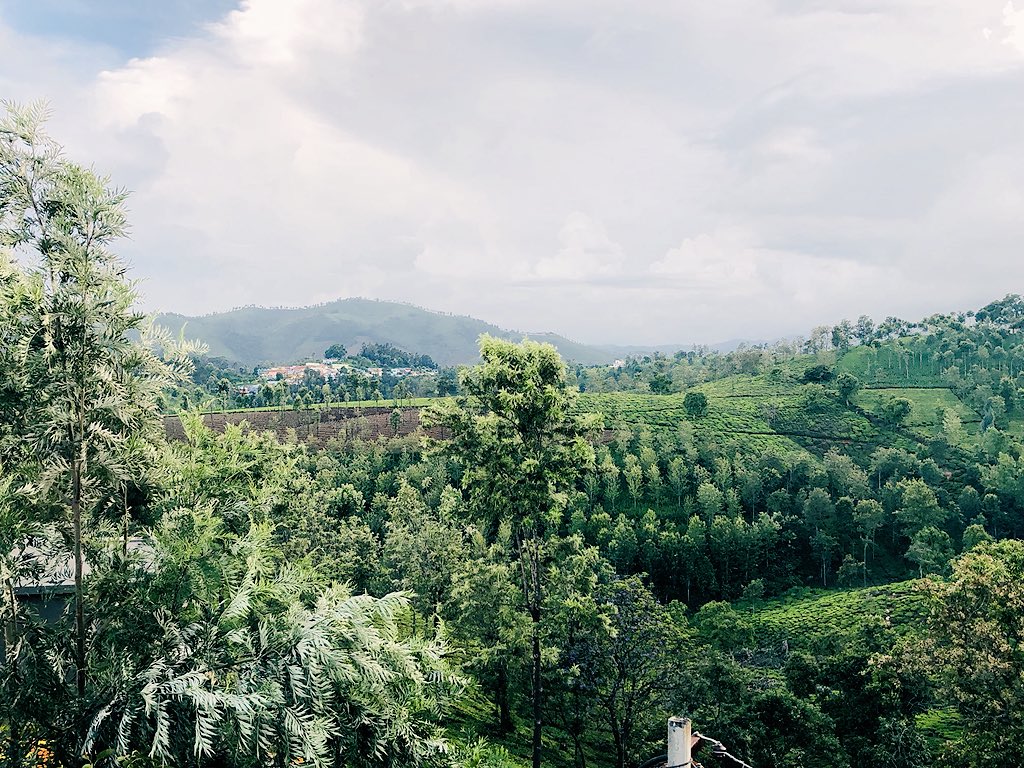 anandgr9's tweet photo. View from the room. #nilgris #coonoor #vacation #needthatbreak https://t.co/35MaK5EVUz