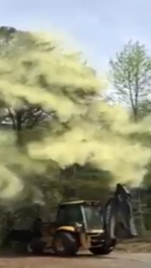Wash_Systems's tweet photo. Pollen time - https://t.co/eZBYMil4eM https://t.co/LvQ6HT0iON