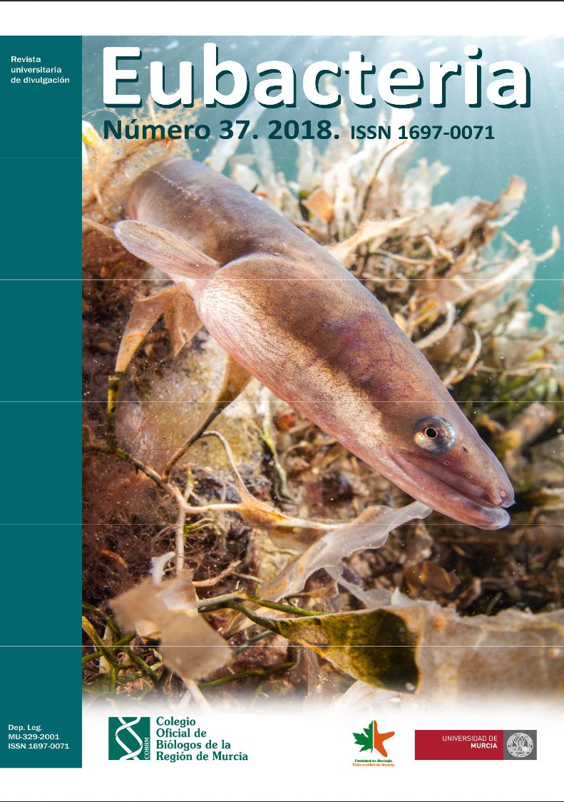 ColumbaresONG's tweet photo. La revista de divulgación científica #Eubacteria de la facultad de Biología de la @UMU difunde un artículo sobre el #ProyectoAnguila e tiene en su portada a la Anguila como protagonista https://t.co/my1oQOmjzu @FBiodiversidad #Biodiversidad https://t.co/NZfa1foD3D