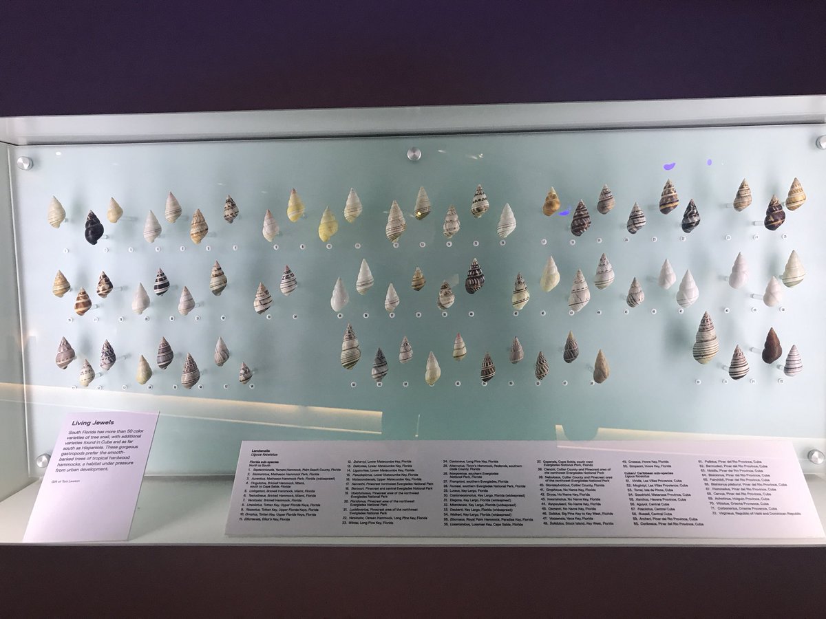 NappyAssJosh's tweet photo. Had an excellent time at the Frost Science Museum yesterday. Got to explose some of the exhibits, the MeLab being on of my favorites. Has an incredible Collection of shells, rocks, minerals, and even an inside aquarium! @TashanaTaylor #umtaylor https://t.co/qAcnCRfDag